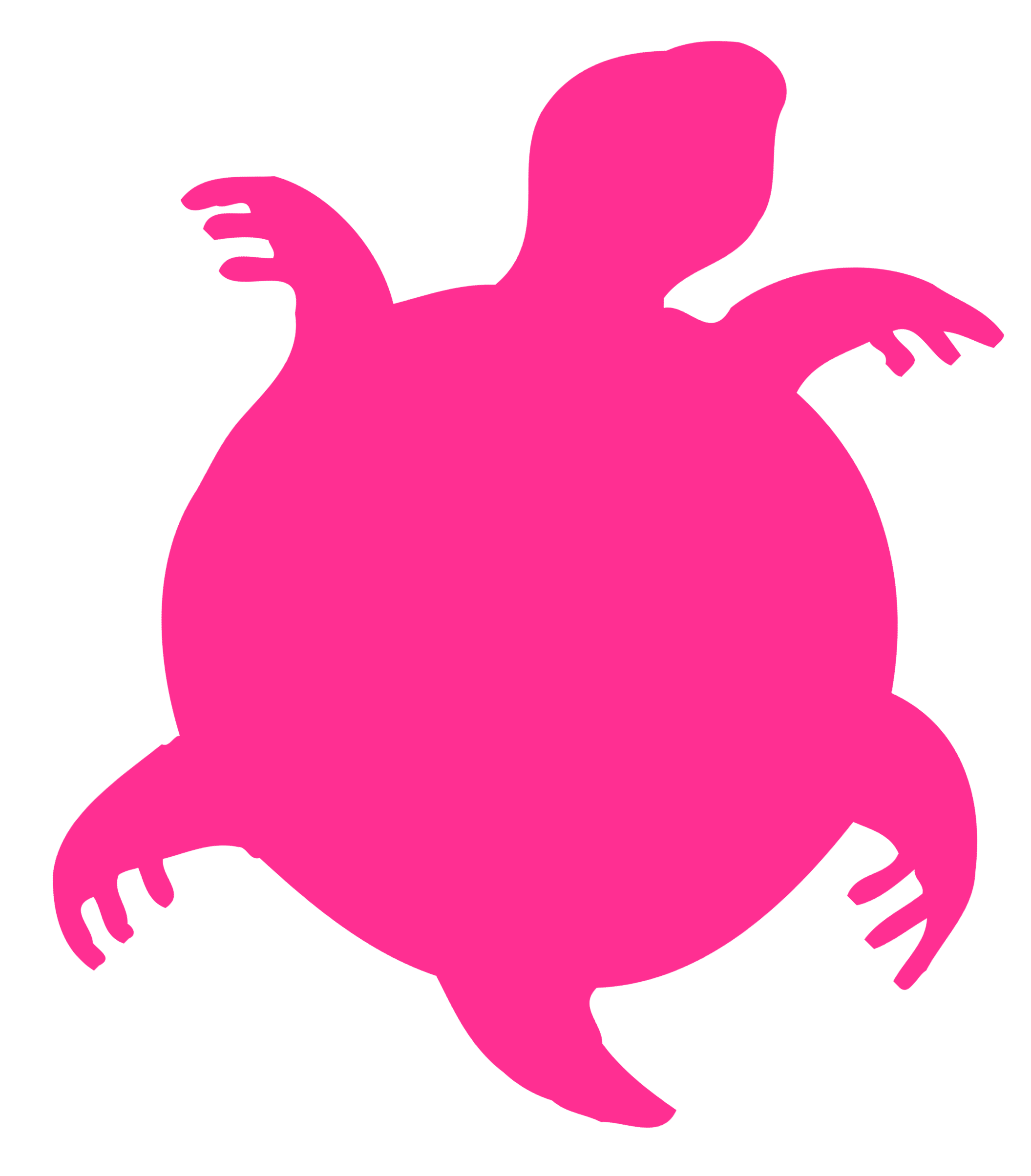 La Tortue Rose